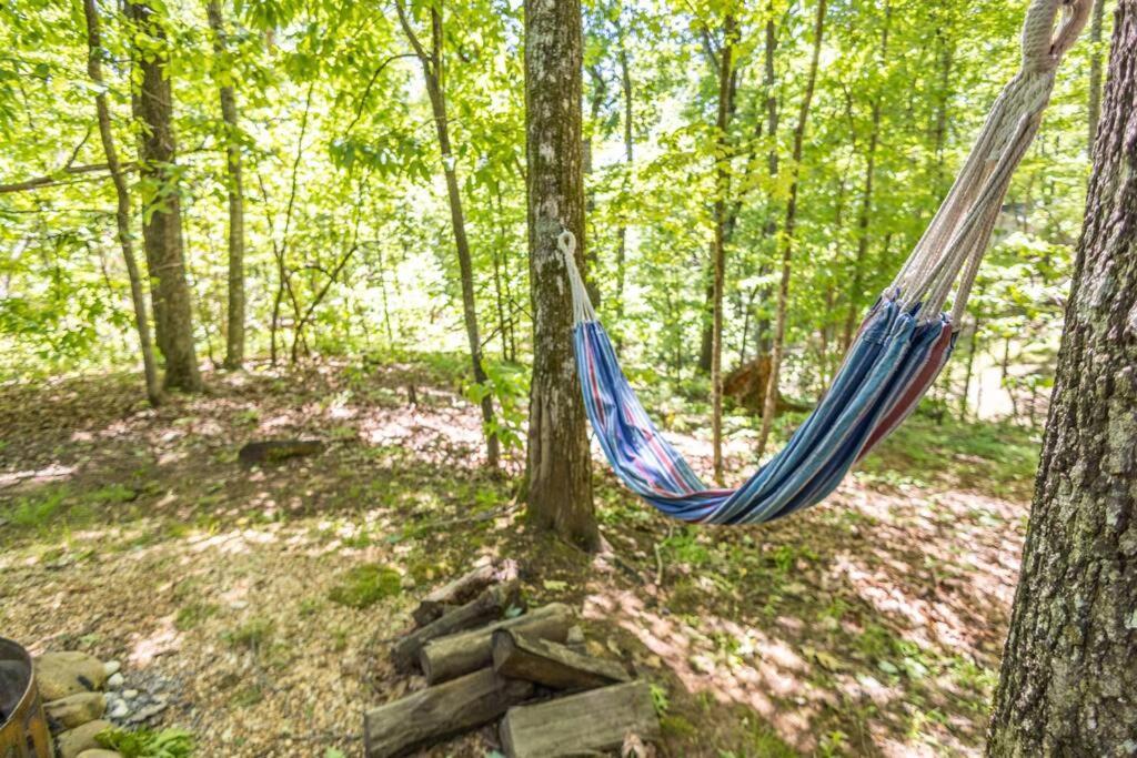 Pet Friendly Luxury Cabin Near Helen With Fire Pit Cleveland Exteriér fotografie