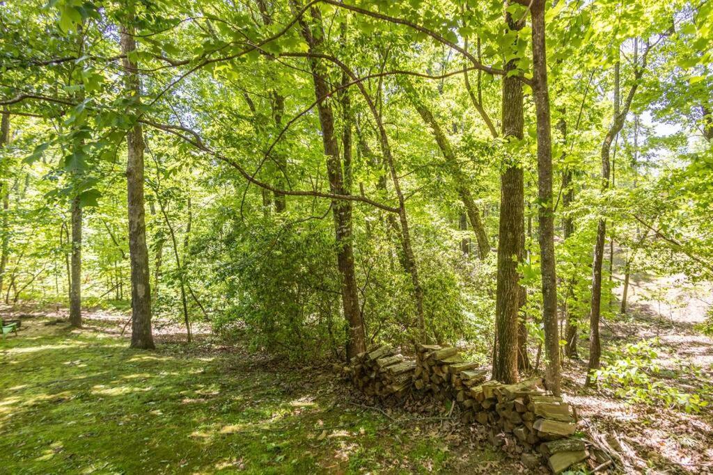 Pet Friendly Luxury Cabin Near Helen With Fire Pit Cleveland Exteriér fotografie